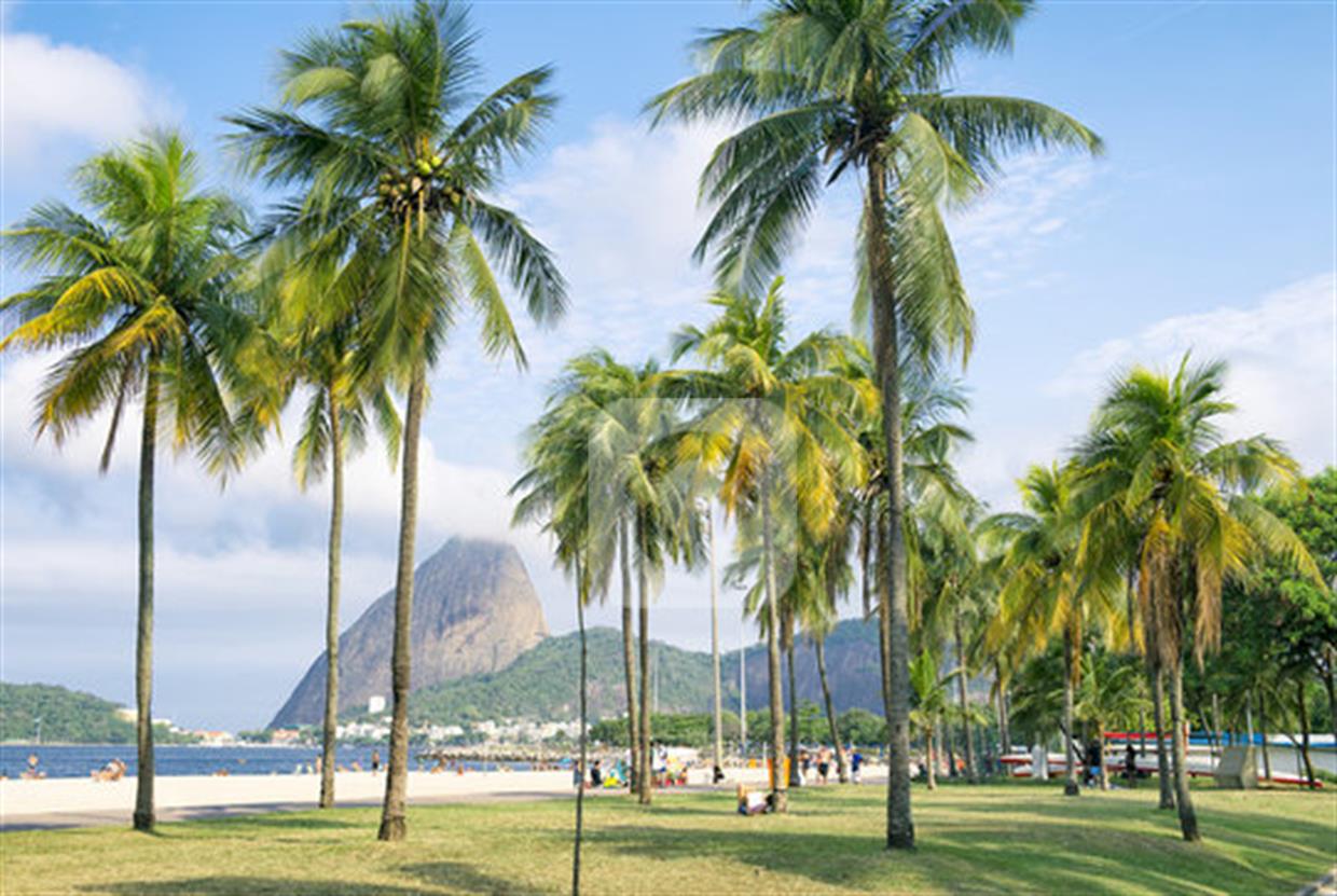 ZONA SUL RIO DE JANEIRO